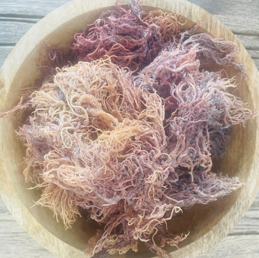 Spotting Counterfeit Sea Moss