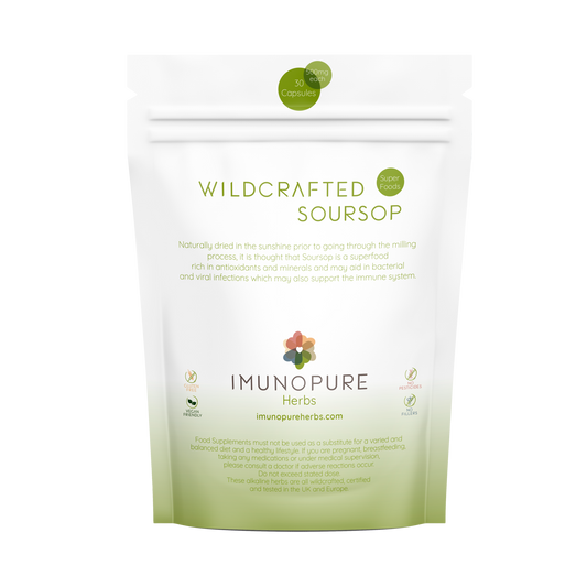 Wildcrafted Soursop Antioxidant Rich, Immune Support, and Inflammation Relief